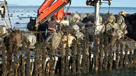 jobs in opotiki nz.
